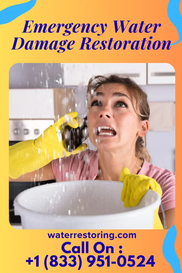 Emergency Water Damage Restoration in Dawson, MN