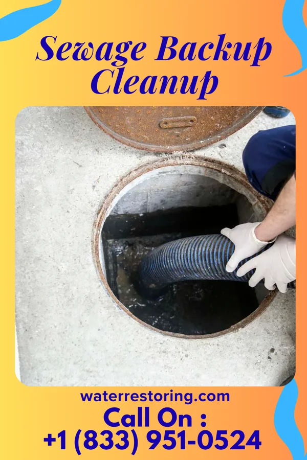 Sewage Backup Cleanup in Dawson, MN